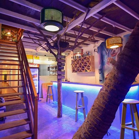 فندق كاليفي  Palm Leaf Surf Cafe المظهر الخارجي الصورة