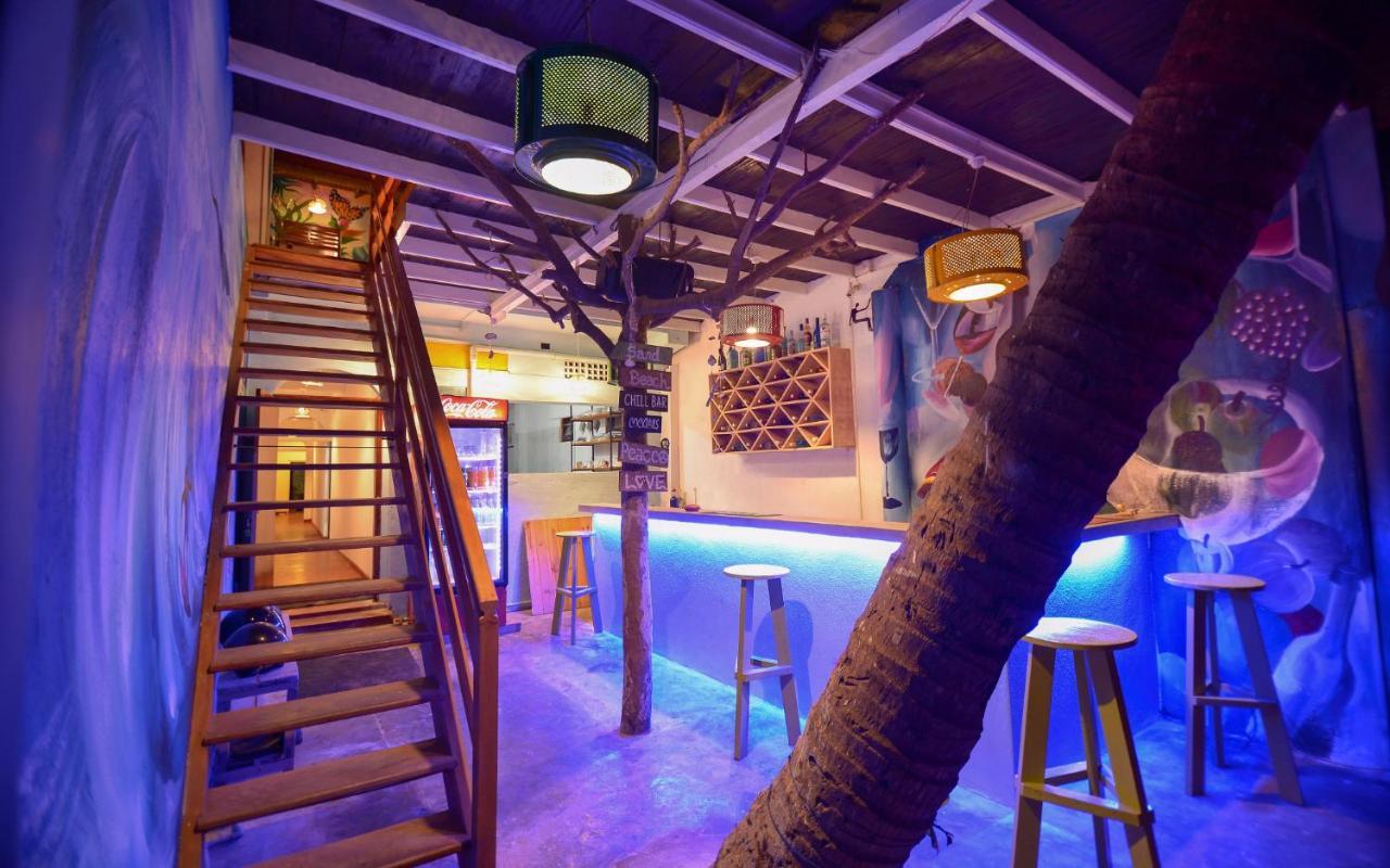 فندق كاليفي  Palm Leaf Surf Cafe المظهر الخارجي الصورة