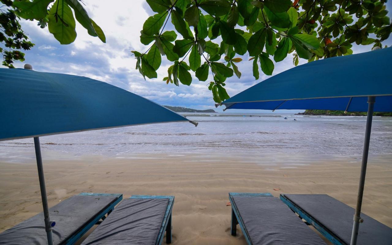 فندق كاليفي  Palm Leaf Surf Cafe المظهر الخارجي الصورة