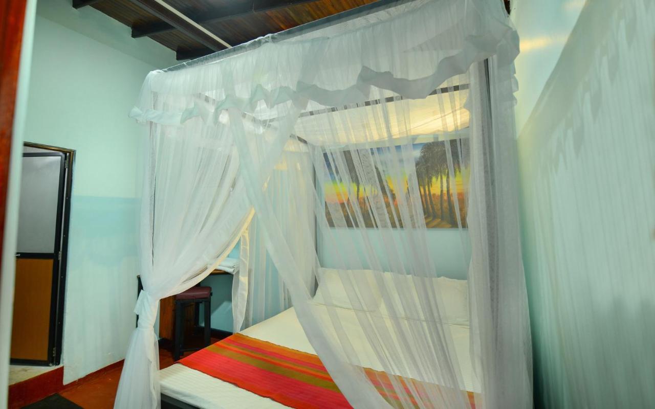 فندق كاليفي  Palm Leaf Surf Cafe المظهر الخارجي الصورة