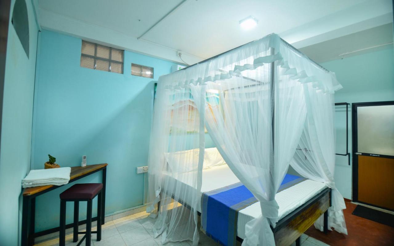 فندق كاليفي  Palm Leaf Surf Cafe المظهر الخارجي الصورة